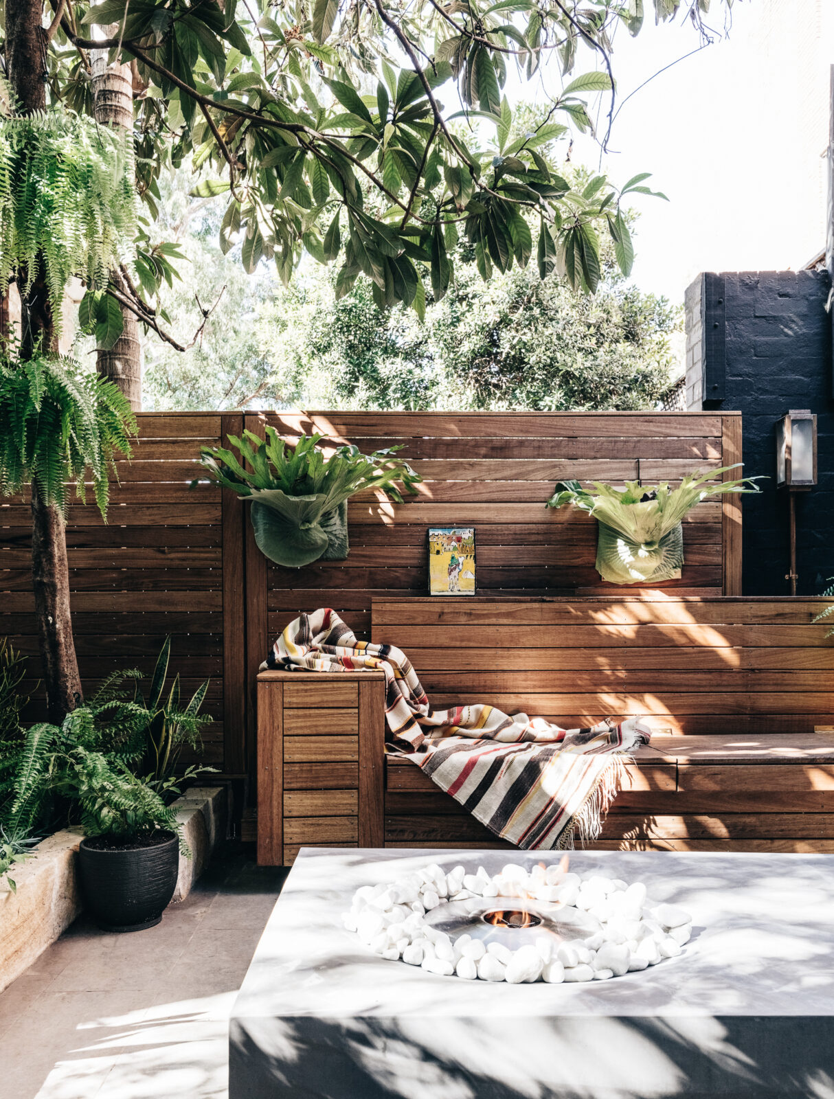 160513 Kathy Mckinnon 9760