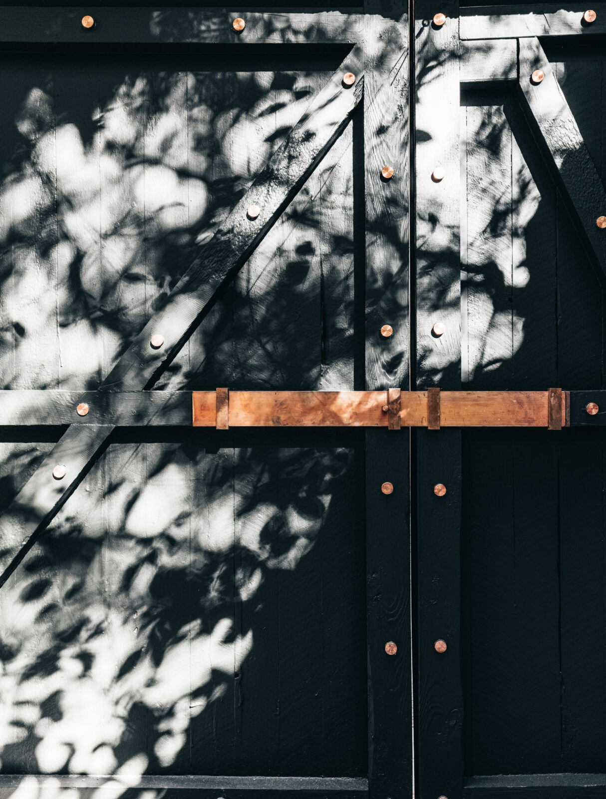 160513 Kathy Mckinnon 9761