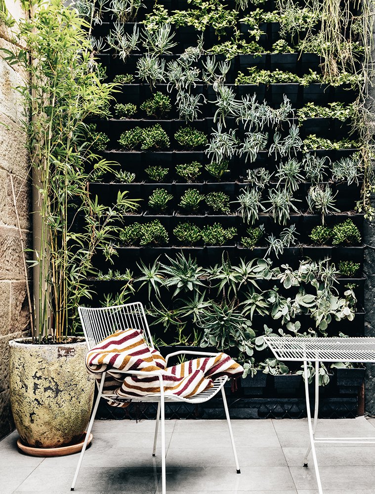 Small Jpeg Kathy Mckinnon 9791