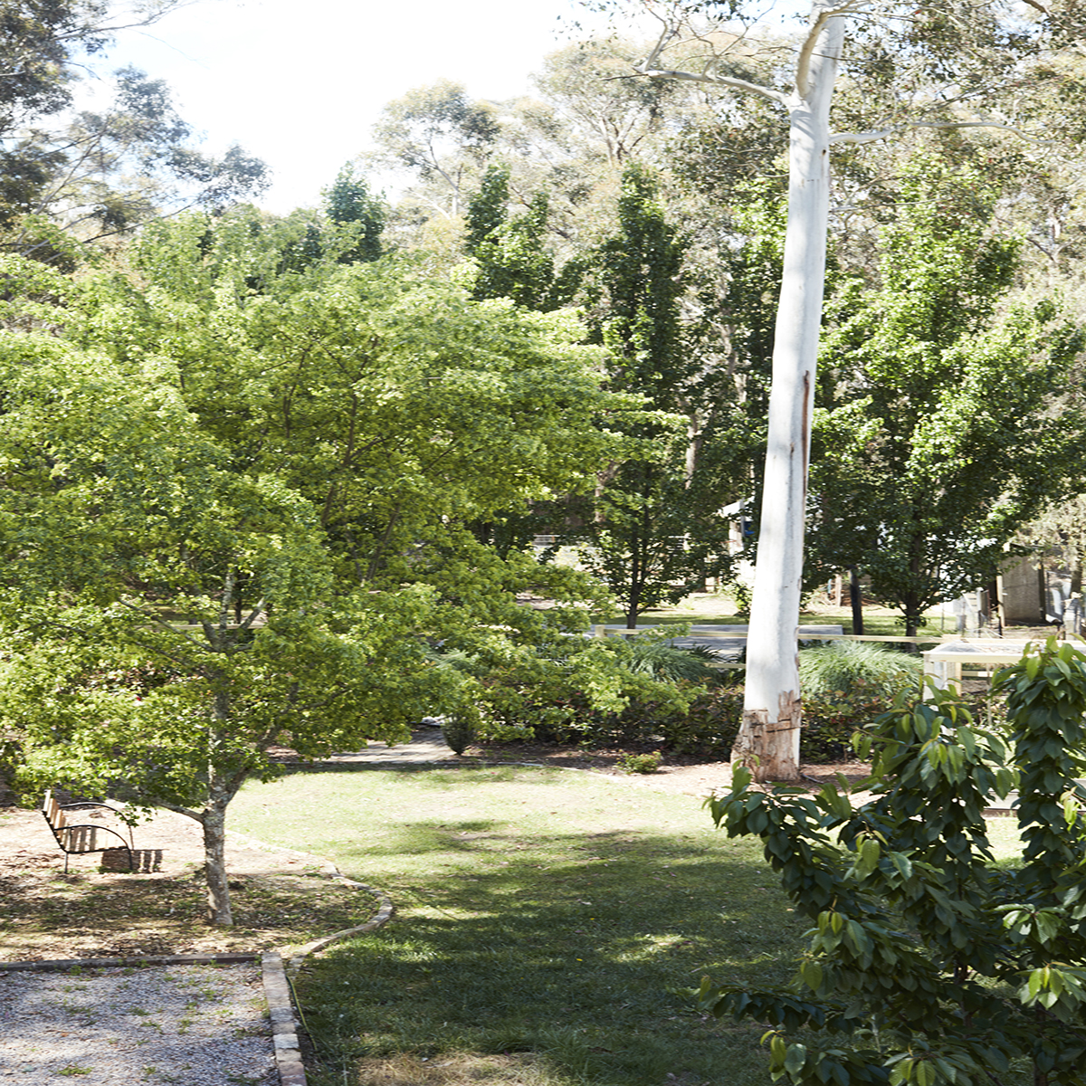 Wf Rear Garden E 015 353