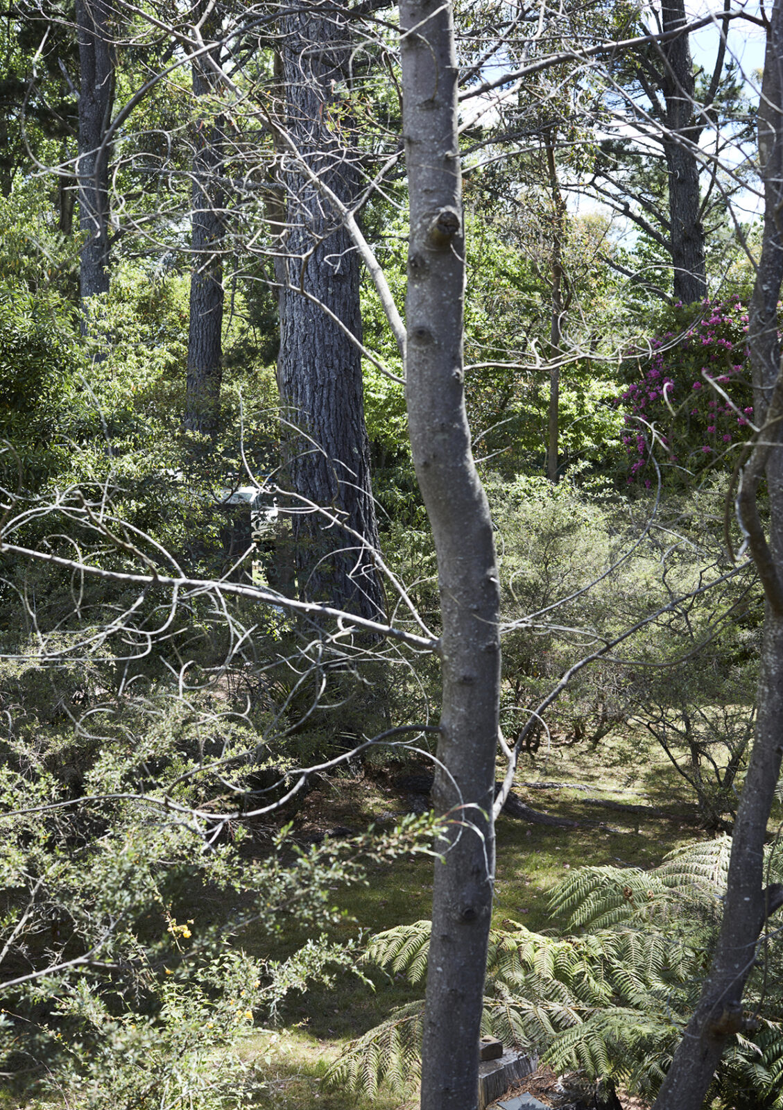 Wf Tre Trunk Ve 015 267